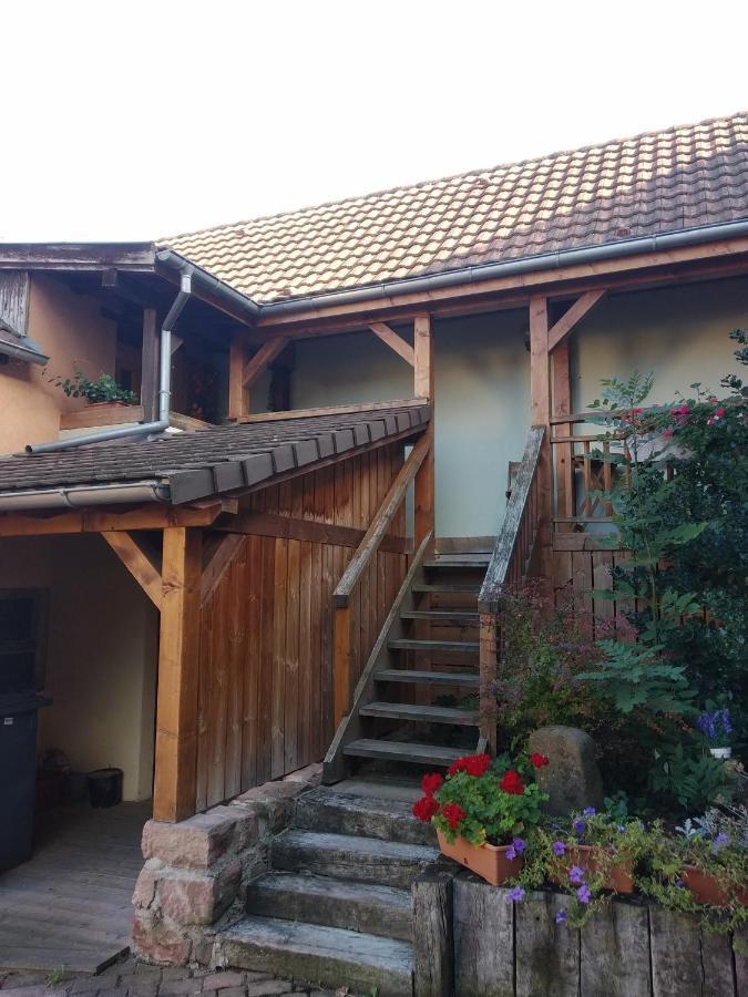 Chez Frederic Et Alexandre Apartamento Bennwihr Exterior foto